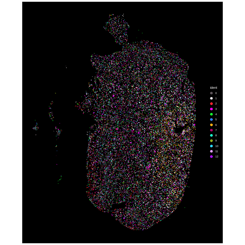 Figure 2A
